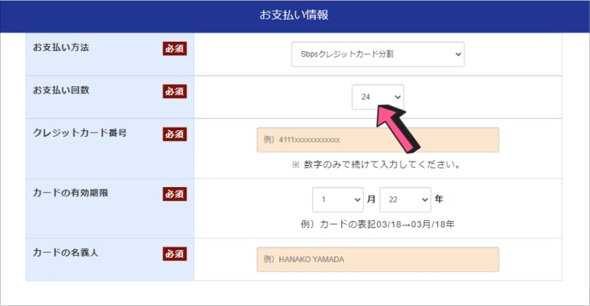 ホームストラッシュの支払い方法