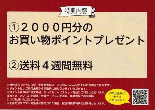 らでぃっしゅぼーやお試しセットの特典