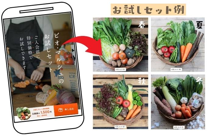 ビオマルシェお試しセットの種類