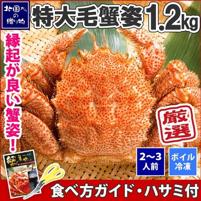 特大ボイル毛蟹姿 1.2kg【販売元:北国からの贈り物】