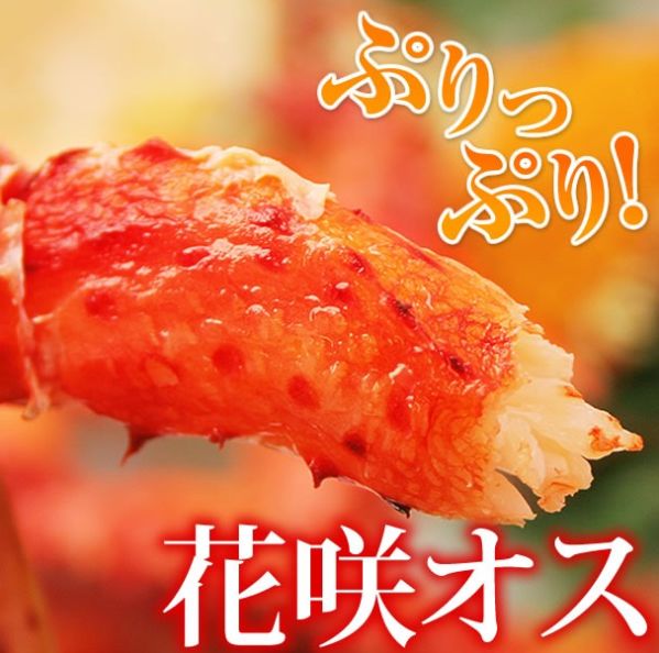 花咲ガニ オス入荷！【濃厚な蟹身】浜茹でハナサキ 今年は超希少な限定サイズ1.5Kg～2kg前後【販売元:かにまみれ】