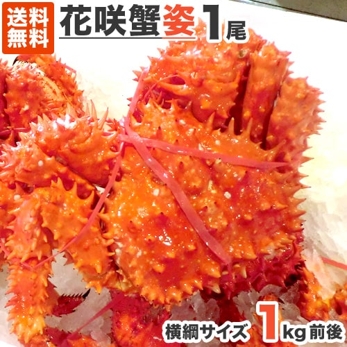 超特大 花咲ガニ 姿 1尾 1kg前後【販売元:ウオス】