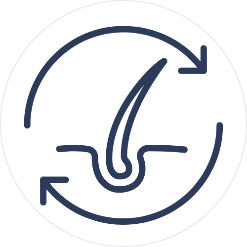 編集部アイコン