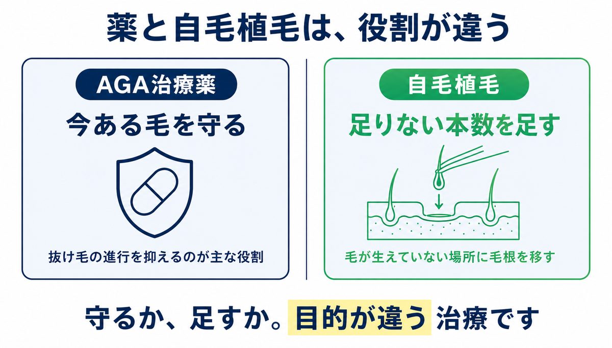 AGA治療薬は今ある毛の進行を抑える役割、自毛植毛は足りない本数を足す役割で、目的が違うことを対比した図